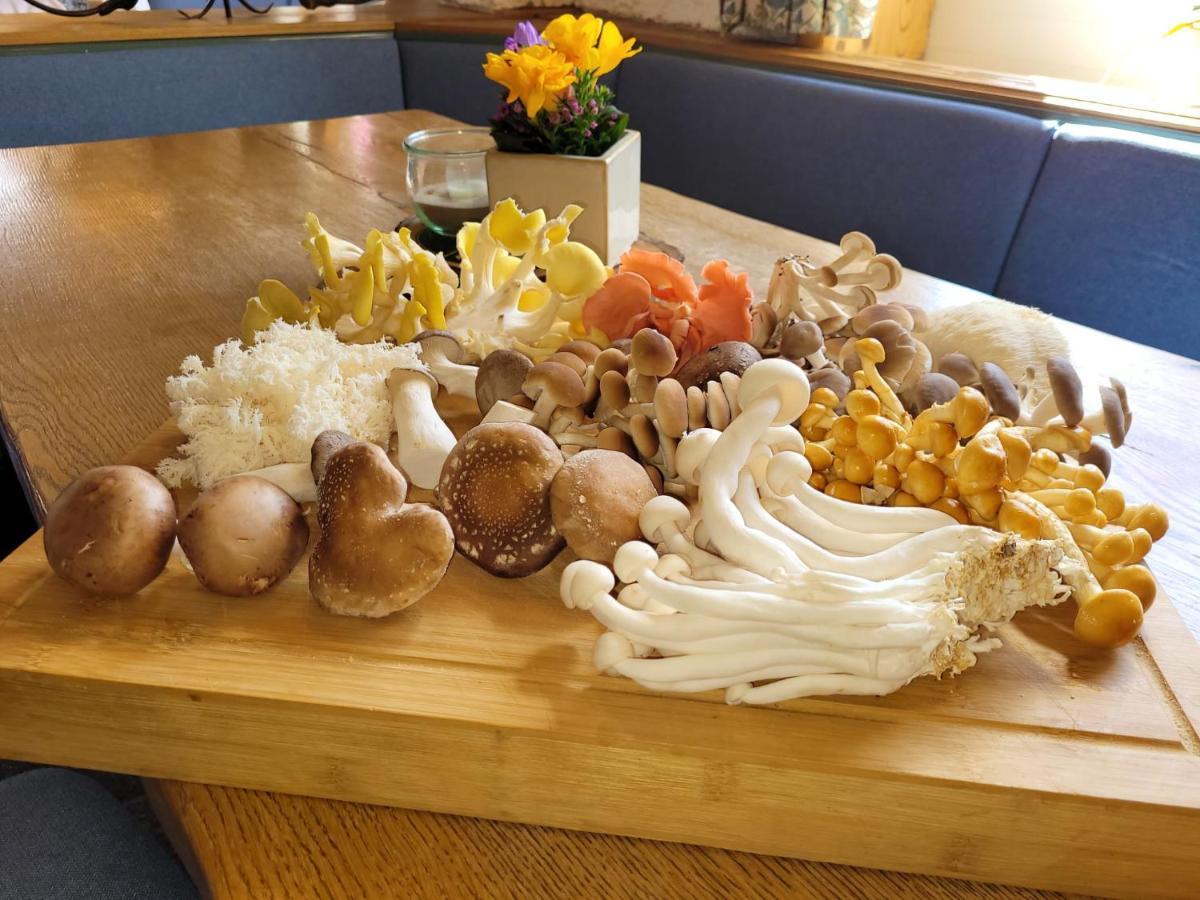 Hotel Wittekindsquelle Bad Oeynhausen Ngoại thất bức ảnh